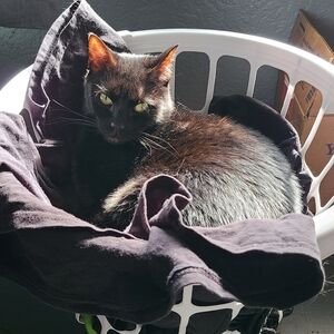 Meet your Posher, Adrian